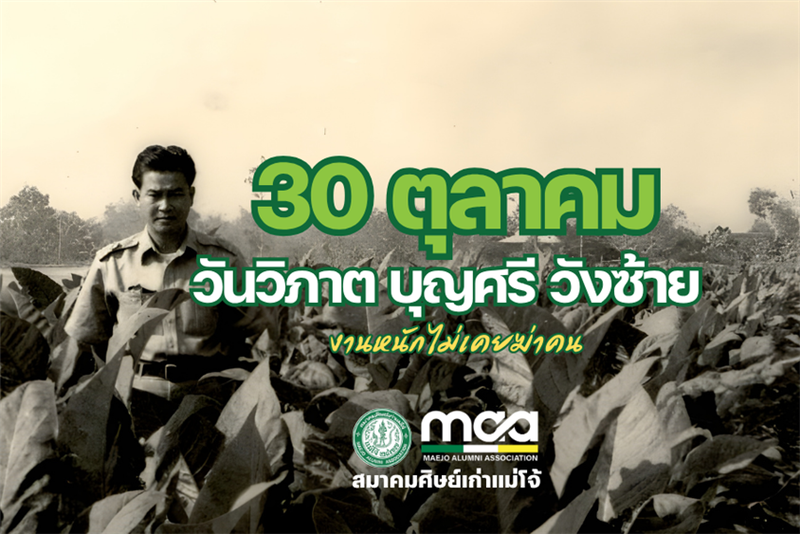 "วิภาต บุญศรี วังซ้าย รำลึก"