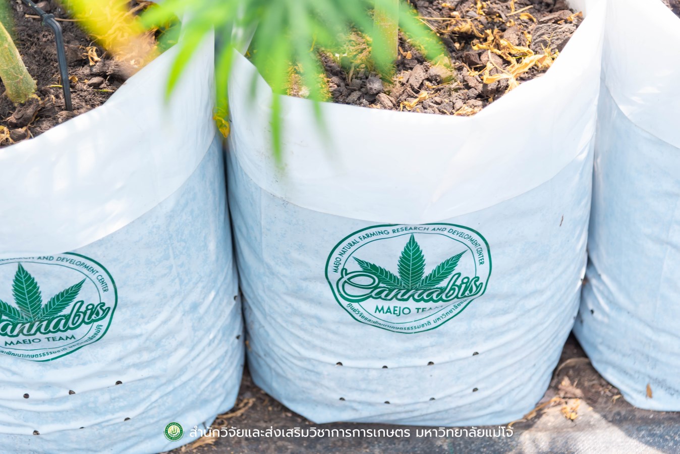 ม.แม่โจ้ ร่วมหารือกับ สำนักงานเลขาธิการวุฒิสภา  เตรียมพร้อมโครงการด้านวิชาการและงานวิจัย