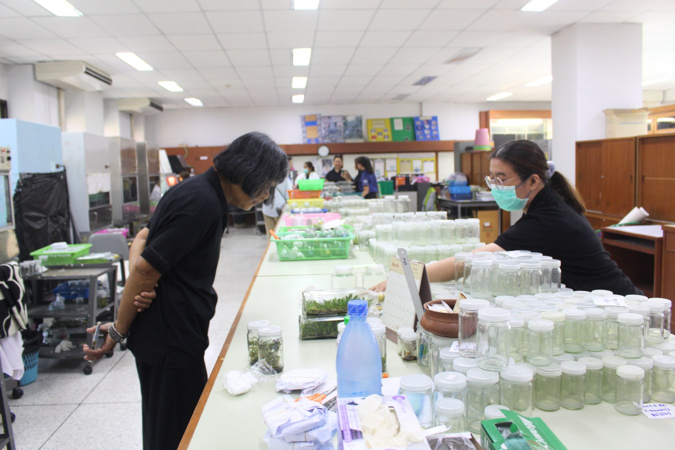 โครงการคืนชีวิตกล้วยไม้ไทยสู่ไพรพฤกษ์ฯ ม.แม่โจ้ ร่วมสนับสนุนโครงการรักษ์ป่าน่านตามพระราชดำริ  เตรียมทำหนังสือเฉลิมพระเกียรติสมเด็จพระนางเจ้าสิริกิติ์ พระบรมราชินีนาถ พระบรมราชชนนีพันปีหลวง