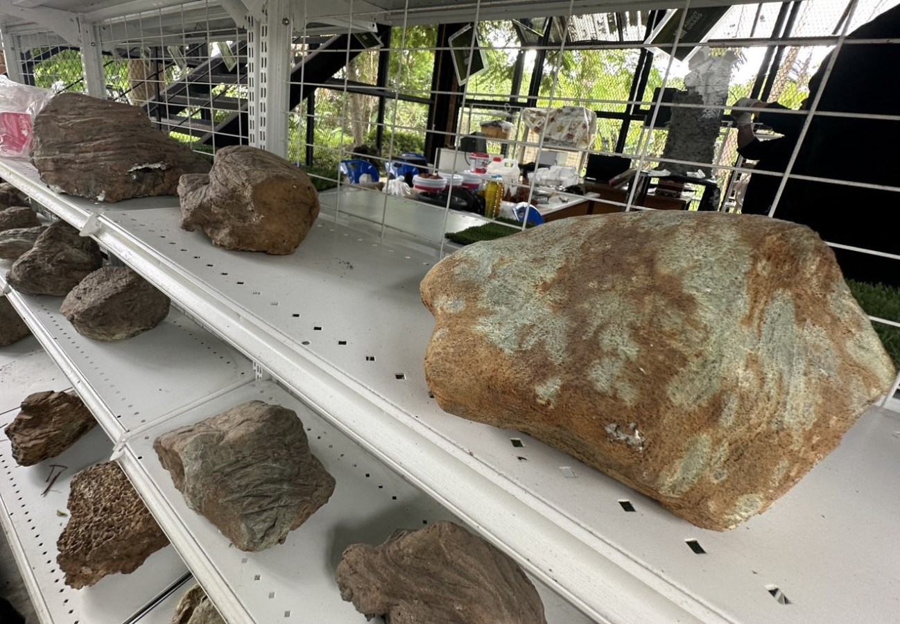 คณะสถาปัตย์ฯ ม.แม่โจ้  อบรมเชิงปฏิบัติการ นวัตกรรมหินเทียมรักษ์โลก