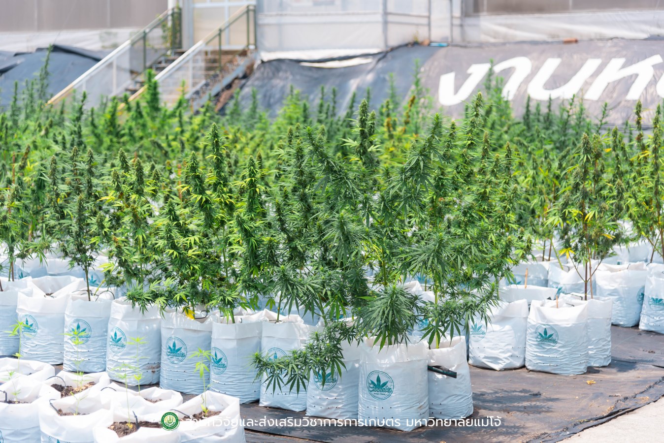 ม.แม่โจ้ ร่วมหารือกับ สำนักงานเลขาธิการวุฒิสภา  เตรียมพร้อมโครงการด้านวิชาการและงานวิจัย