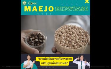 Maejo Showcase | กาแฟกระชายเสริมภูมิเพื่อสุขภาพ ??