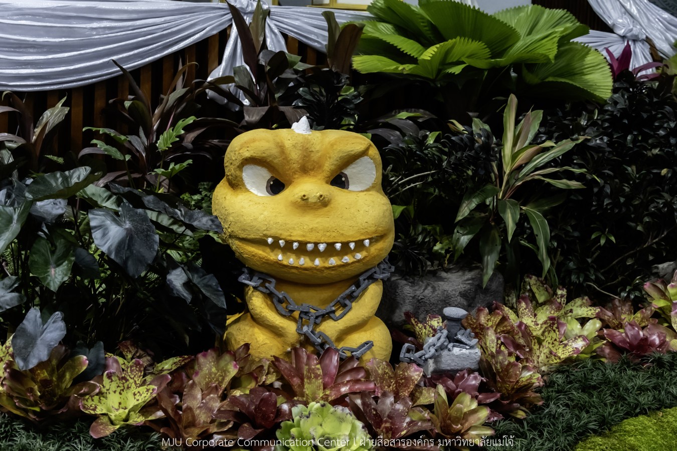 ว่าที่บัณฑิตพร้อม  อาจารย์พร้อม  ญาติพร้อม ทุกคนพร้อม  ร่วมแสดงความยินดี 18 กุมภาพันธ์ 2569  #บรรยากาศซ้อมใหญ่ พิธีพระราชทานปริญญาบัตรมหาวิทยาลัยแม่โจ้ ครั้งที่ 48