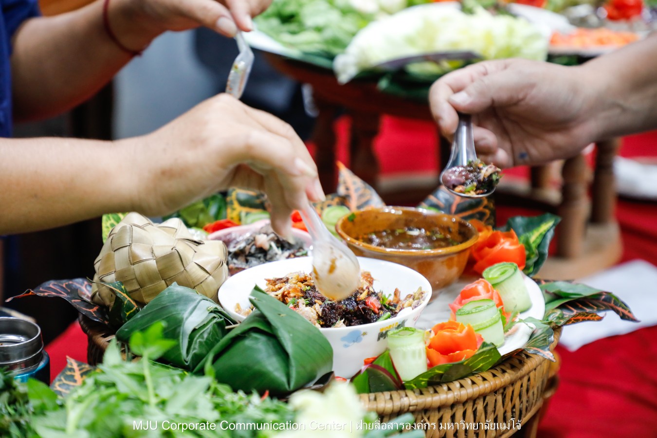 ชาวแม่โจ้ ร่วมพิธีดำหัวผู้อาวุโสและอธิการบดี ประจำปี 2569  สืบสานป๋าเวณี ปี๋ใหม่เมือง