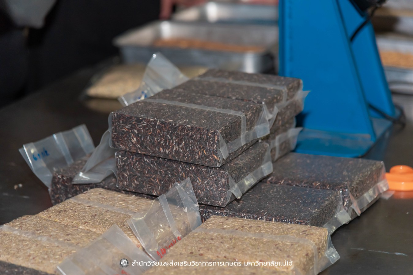 มหาวิทยาลัยแม่โจ้ ต้อนรับคณะผู้บริหารของสำนักงานเลขาธิการวุฒิสภา ในโครงการติดตามผลการนำผลงานวิจัยไปใช้ประโยชน์ในกระบวนการนิติบัญญัติ