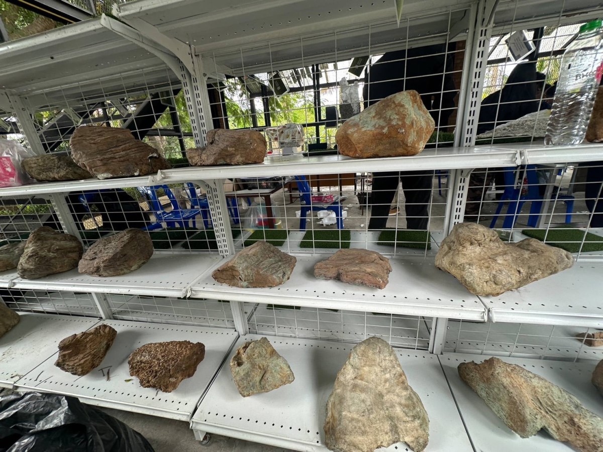 คณะสถาปัตย์ฯ ม.แม่โจ้  อบรมเชิงปฏิบัติการ นวัตกรรมหินเทียมรักษ์โลก