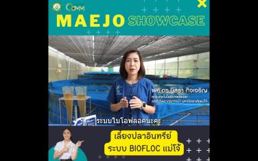 Maejo Showcase |  การเลี้ยงปลาอินทรีย์ BIO FLOC แม่โจ้