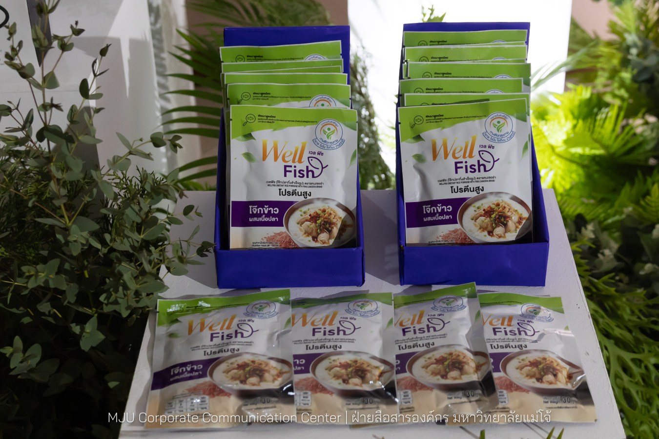 อุทยานวิทยาศาสตร์ฯ ม.แม่โจ้ พลิกโฉมงานวิจัยจาก “หิ้ง