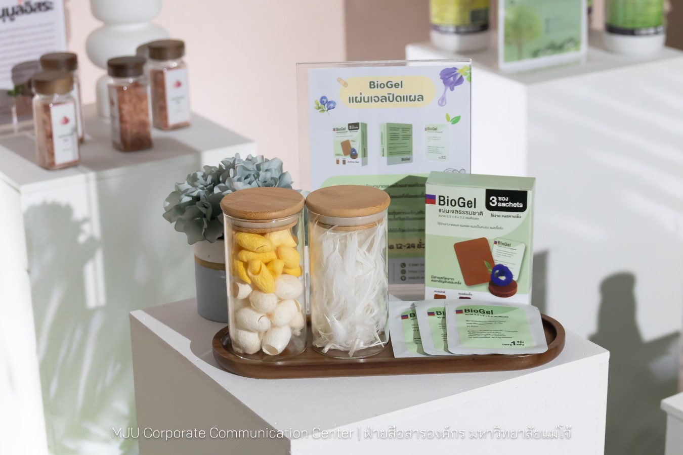 อุทยานวิทยาศาสตร์ฯ ม.แม่โจ้ พลิกโฉมงานวิจัยจาก “หิ้ง