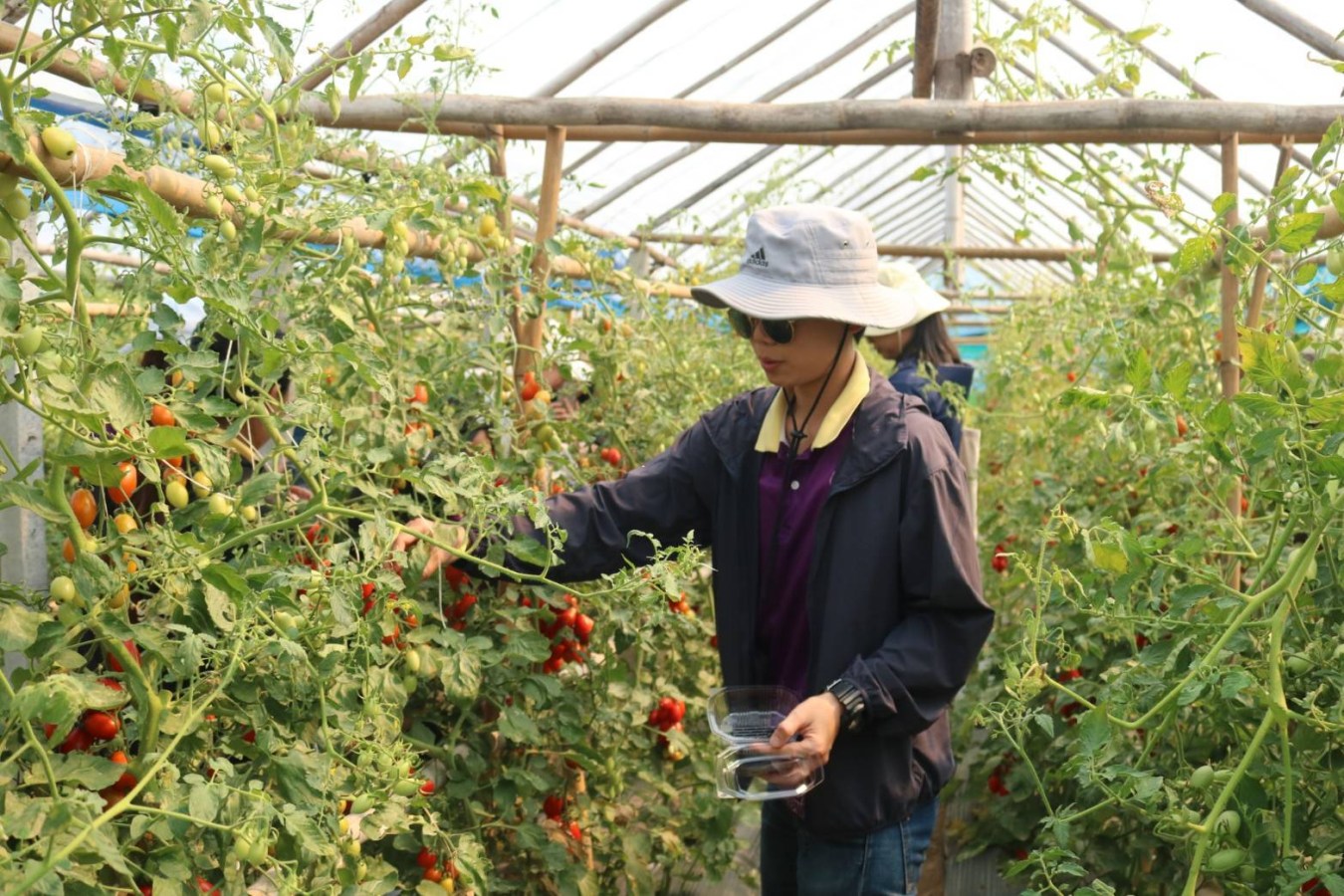 ศูนย์ปรับปรุงพันธุ์และผลิตเมล็ดพันธุ์ผักอินทรีย์ ม.แม่โจ้ ต้อนรับคณะดูงานวิทยาลัยโพธิวิชชาลัย ม.ศรีนครินทรวิโรฒ