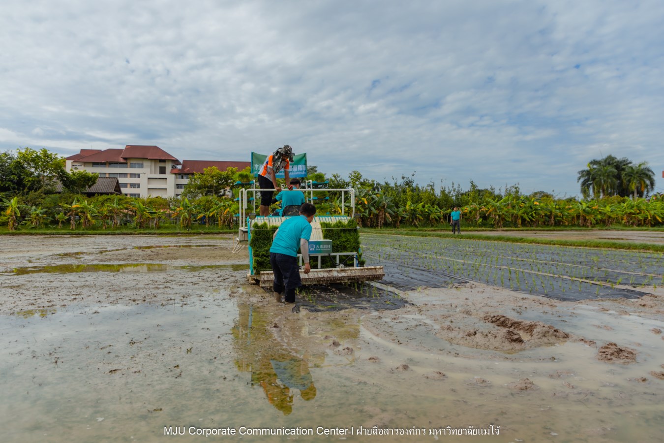 ม.แม่โจ้ ร่วมกับภาคเอกชนจีน  ทดสอบเทคโนโลยีฟิล์มคลุมดินที่ย่อยสลายได้ทางชีวภาพในการปลูกข้าวอินทรีย์