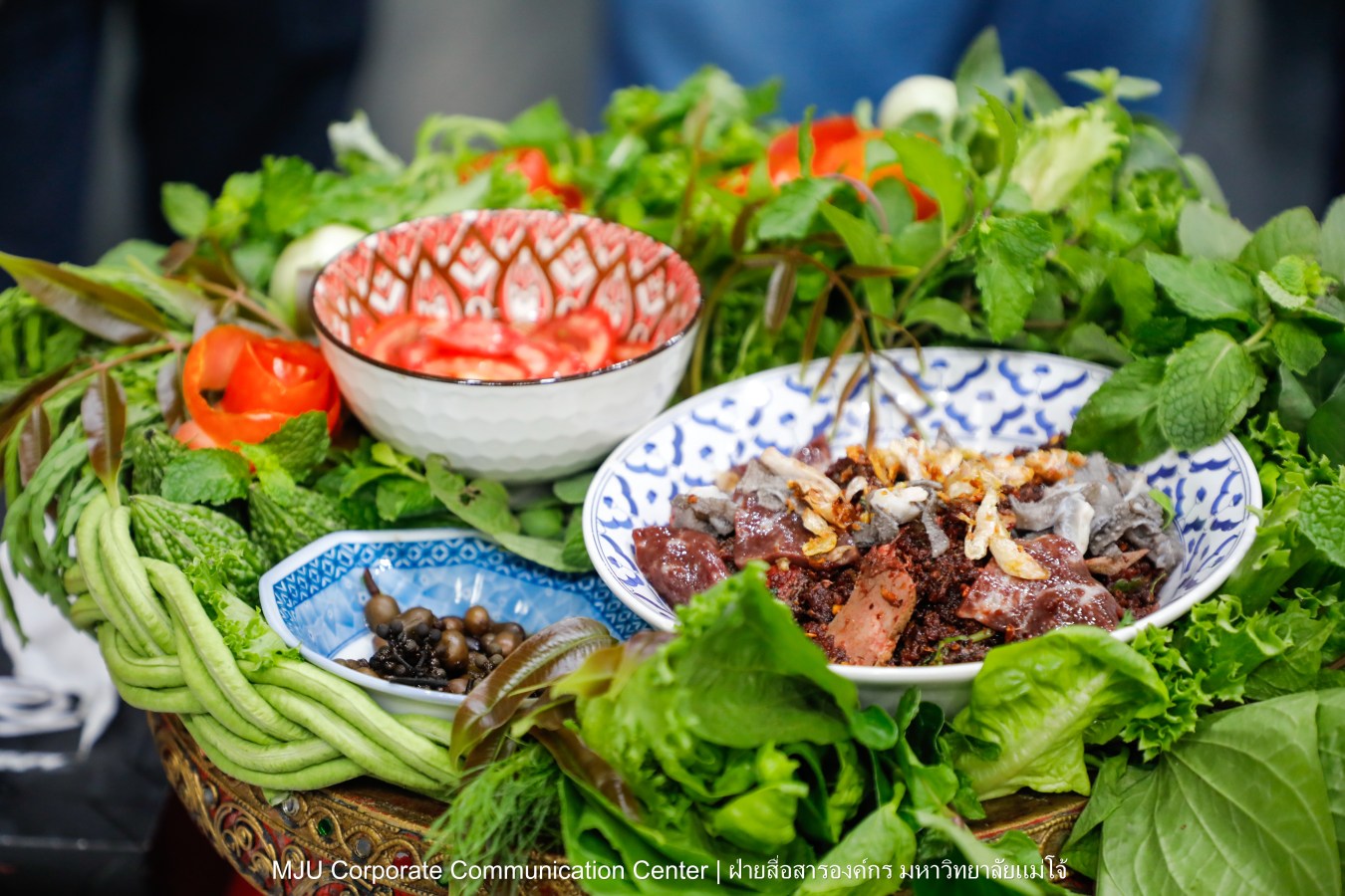 ชาวแม่โจ้ ร่วมพิธีดำหัวผู้อาวุโสและอธิการบดี ประจำปี 2569  สืบสานป๋าเวณี ปี๋ใหม่เมือง