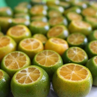 แปลงฟาร์มมหาวิทยาลัยแม่โจ้-ชุมพร ต่ออายุใบรับรองมาตรฐานเกษตรอินทรีย์สากล IFOAM ต่อเนื่องเป็นปีที่ 8 มุ่งสู่ต้นแบบแหล่งเรียนรู้เกษตรอินทรีย์ภาคใต้