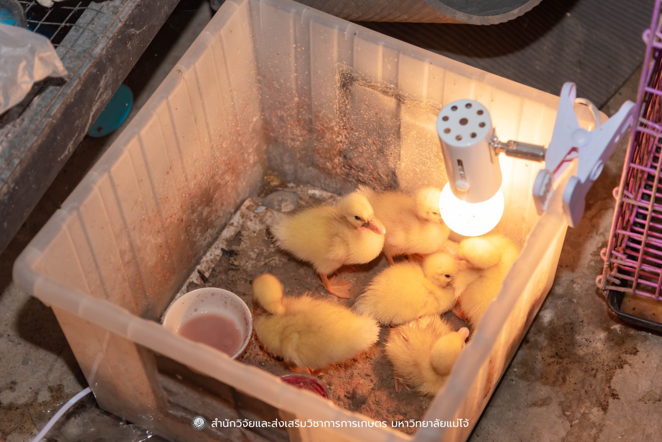 มหาวิทยาลัยแม่โจ้ ต้อนรับคณะผู้บริหารของสำนักงานเลขาธิการวุฒิสภา ในโครงการติดตามผลการนำผลงานวิจัยไปใช้ประโยชน์ในกระบวนการนิติบัญญัติ