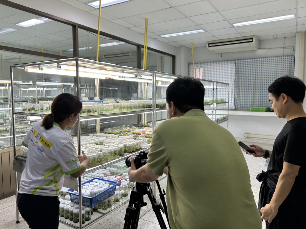 โครงการคืนชีวิตกล้วยไม้ไทยสู่ไพรพฤกษ์ฯ ม.แม่โจ้ ร่วมถ่ายทำสารคดี “ดอกไม้ในพระนาม” เทิดพระเกียรติ สมเด็จพระพันปีหลวง