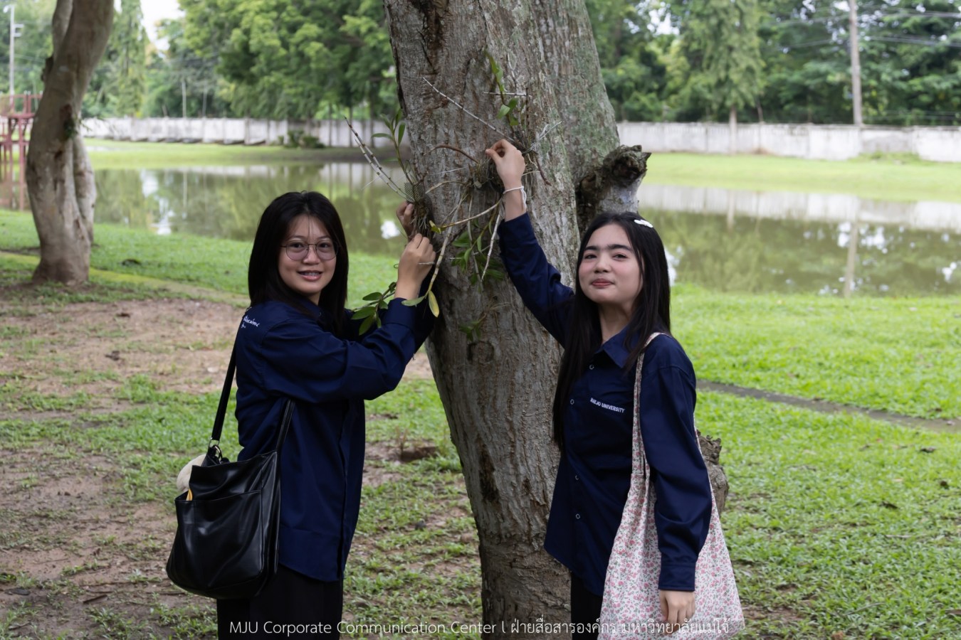 ม.แม่โจ้ ปล่อยกล้วยไม้ถวายพระราชกุศล สมเด็จพระนางเจ้าสิริกิติ์ พระบรมราชินีนาถ พระบรมราชชนนีพันปีหลวง