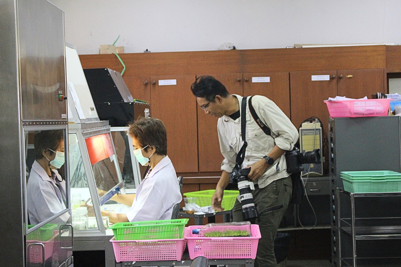 โครงการคืนชีวิตกล้วยไม้ไทยสู่ไพรพฤกษ์ฯ ม.แม่โจ้ ร่วมสนับสนุนโครงการรักษ์ป่าน่านตามพระราชดำริ  เตรียมทำหนังสือเฉลิมพระเกียรติสมเด็จพระนางเจ้าสิริกิติ์ พระบรมราชินีนาถ พระบรมราชชนนีพันปีหลวง