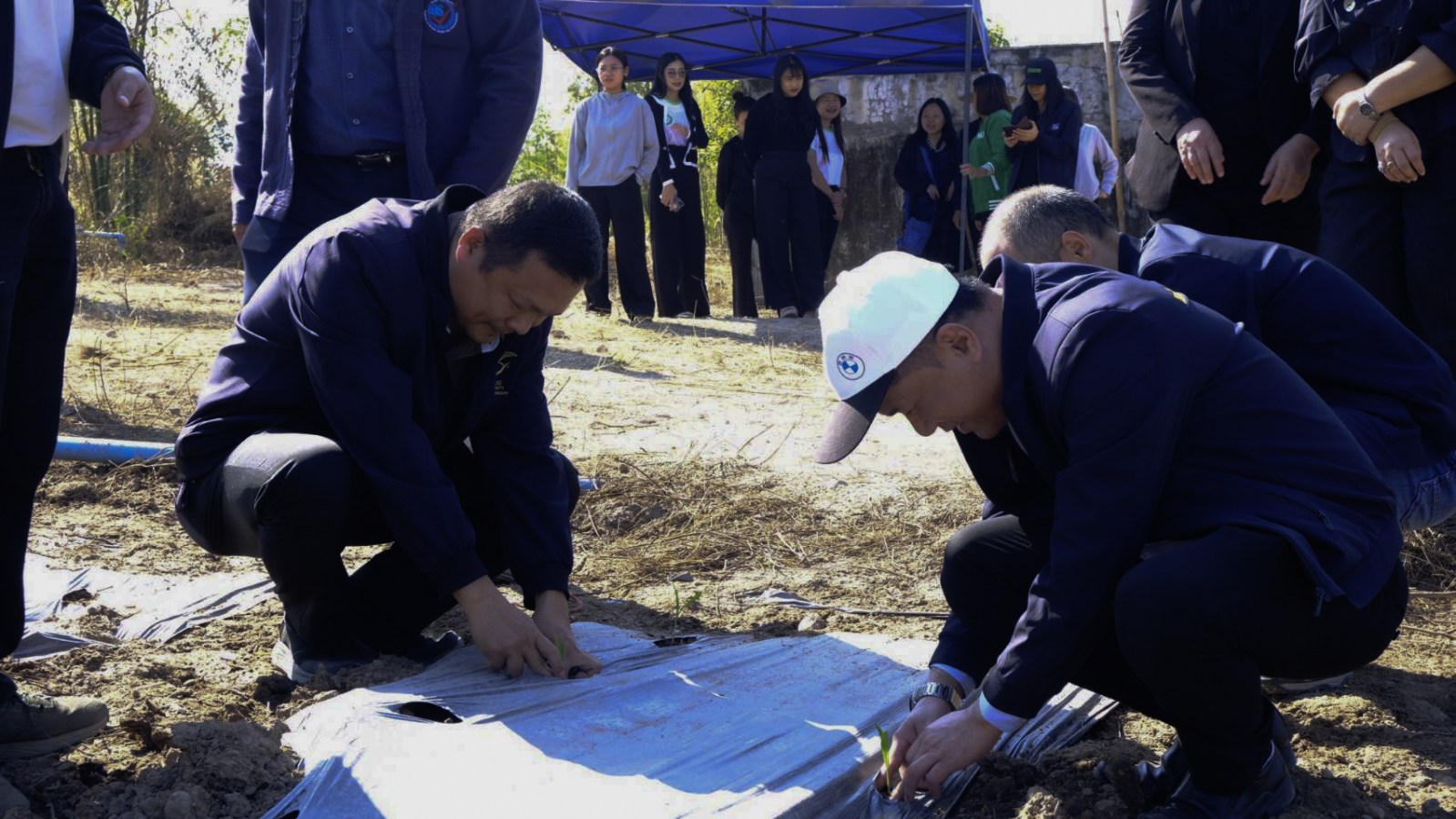 ม.แม่โจ้-แพร่ฯ เปิดพื้นที่ต้นแบบการผลิตข้าวโพดหวานอินทรีย์สู่มาตรฐานสหภาพยุโรป (EU)