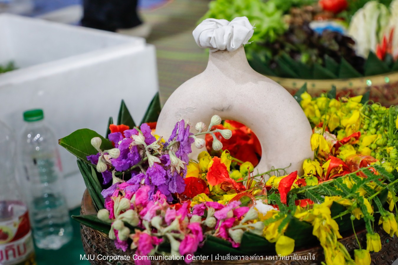 ชาวแม่โจ้ ร่วมพิธีดำหัวผู้อาวุโสและอธิการบดี ประจำปี 2569  สืบสานป๋าเวณี ปี๋ใหม่เมือง
