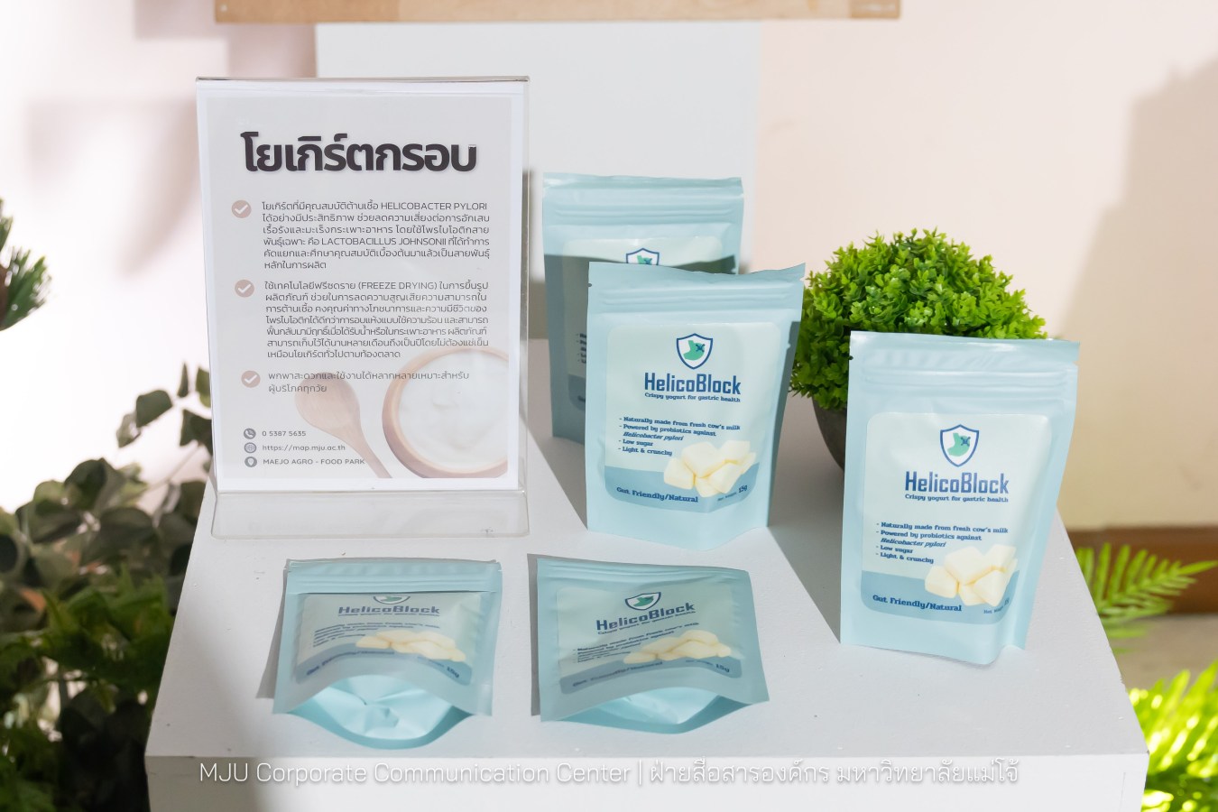 อุทยานวิทยาศาสตร์ฯ ม.แม่โจ้ พลิกโฉมงานวิจัยจาก “หิ้ง