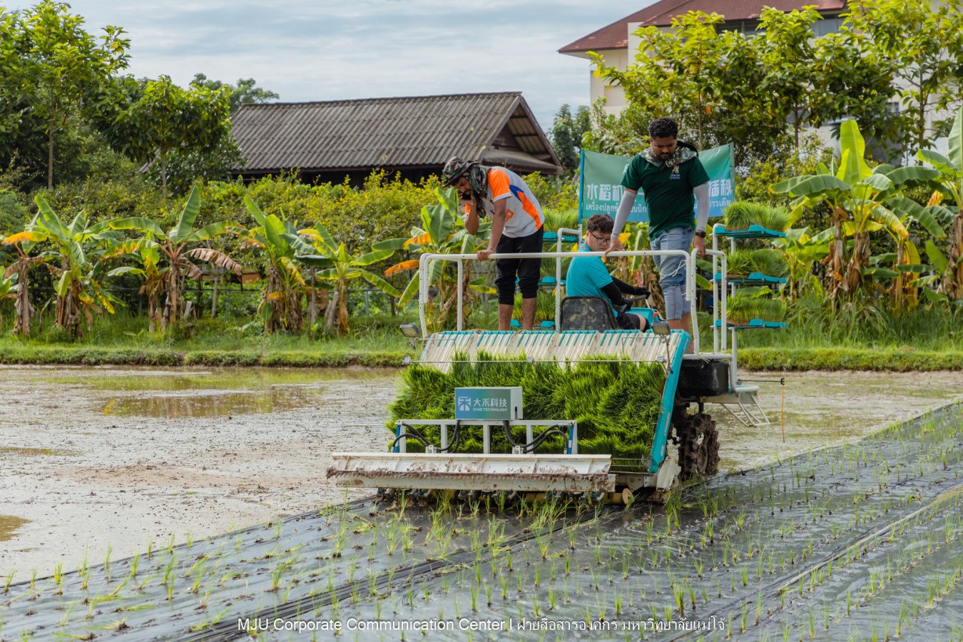 ม.แม่โจ้ ร่วมกับภาคเอกชนจีน  ทดสอบเทคโนโลยีฟิล์มคลุมดินที่ย่อยสลายได้ทางชีวภาพในการปลูกข้าวอินทรีย์