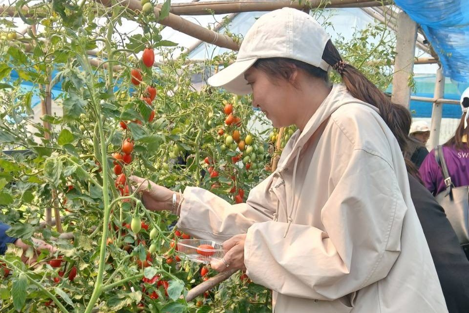 ศูนย์ปรับปรุงพันธุ์และผลิตเมล็ดพันธุ์ผักอินทรีย์ ม.แม่โจ้ ต้อนรับคณะดูงานวิทยาลัยโพธิวิชชาลัย ม.ศรีนครินทรวิโรฒ