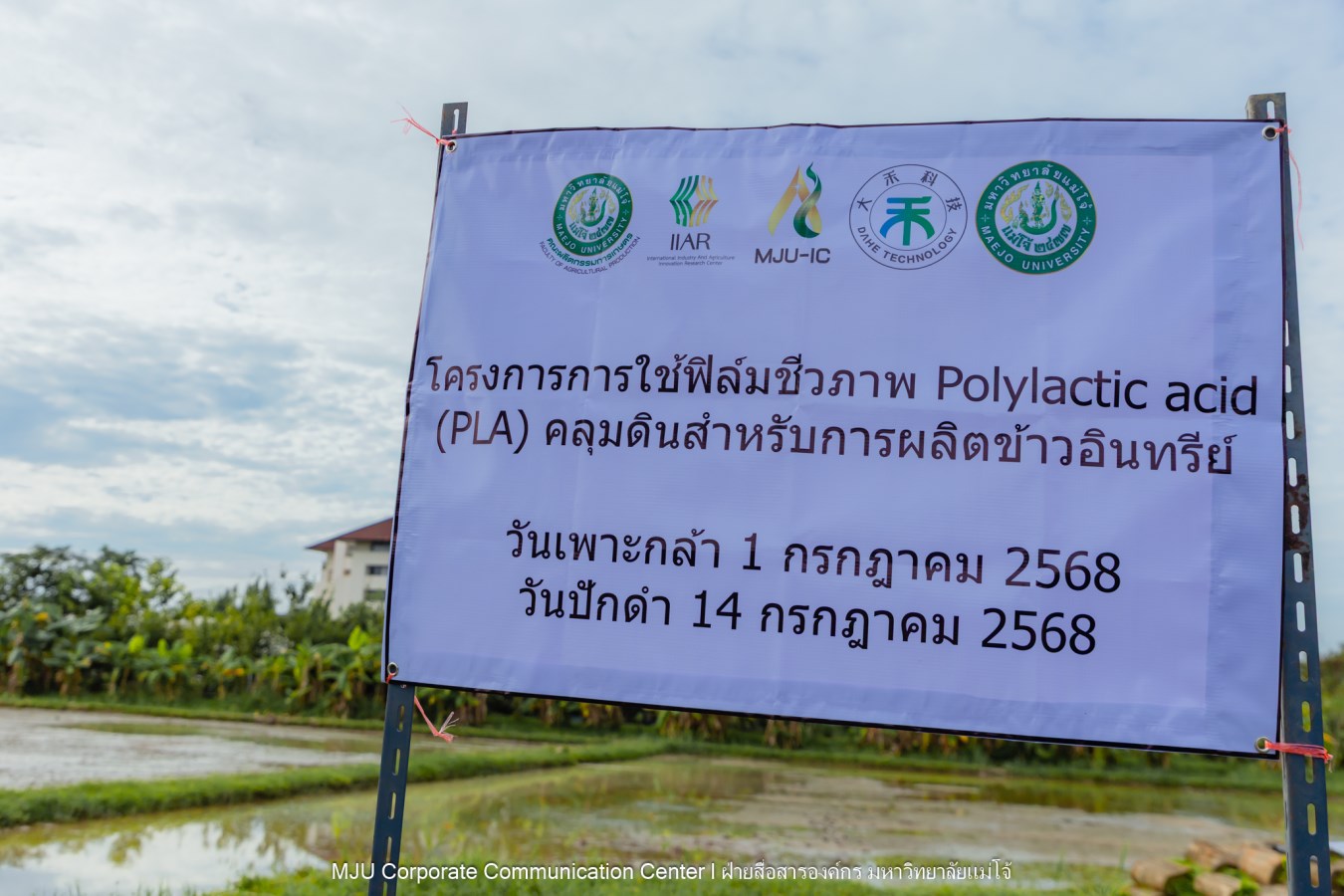 ม.แม่โจ้ ร่วมกับภาคเอกชนจีน  ทดสอบเทคโนโลยีฟิล์มคลุมดินที่ย่อยสลายได้ทางชีวภาพในการปลูกข้าวอินทรีย์