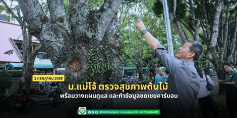 ม.แม่โจ้ ตรวจสุขภาพต้นไม้ พร้อมวางแผนดูแล และทำข้อมูลชดเชยคาร์บอน