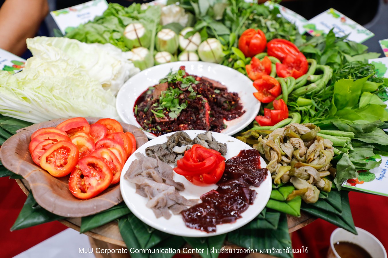 ชาวแม่โจ้ ร่วมพิธีดำหัวผู้อาวุโสและอธิการบดี ประจำปี 2569  สืบสานป๋าเวณี ปี๋ใหม่เมือง