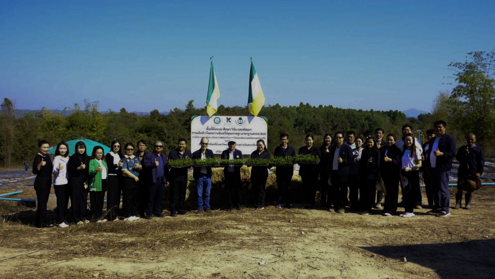 ม.แม่โจ้-แพร่ฯ เปิดพื้นที่ต้นแบบการผลิตข้าวโพดหวานอินทรีย์สู่มาตรฐานสหภาพยุโรป (EU)