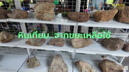 Maejo Showcase | หินเทียมรักษ์โลก นวัตกรรมภูมิทัศน์จากขยะเหลือใช้