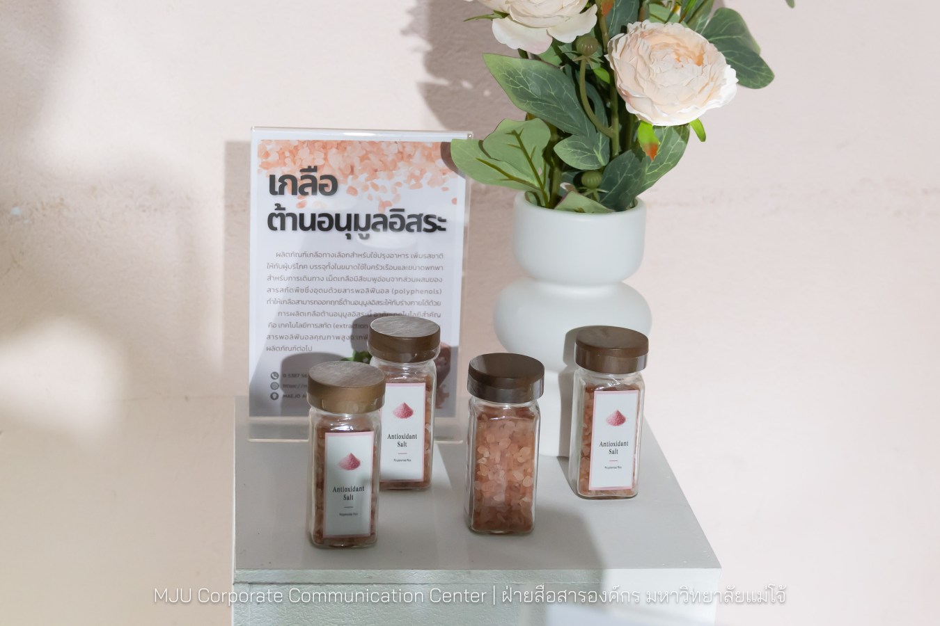 อุทยานวิทยาศาสตร์ฯ ม.แม่โจ้ พลิกโฉมงานวิจัยจาก “หิ้ง