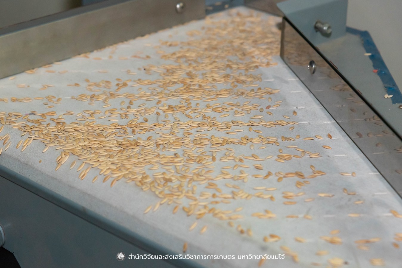 มหาวิทยาลัยแม่โจ้ ต้อนรับคณะผู้บริหารของสำนักงานเลขาธิการวุฒิสภา ในโครงการติดตามผลการนำผลงานวิจัยไปใช้ประโยชน์ในกระบวนการนิติบัญญัติ