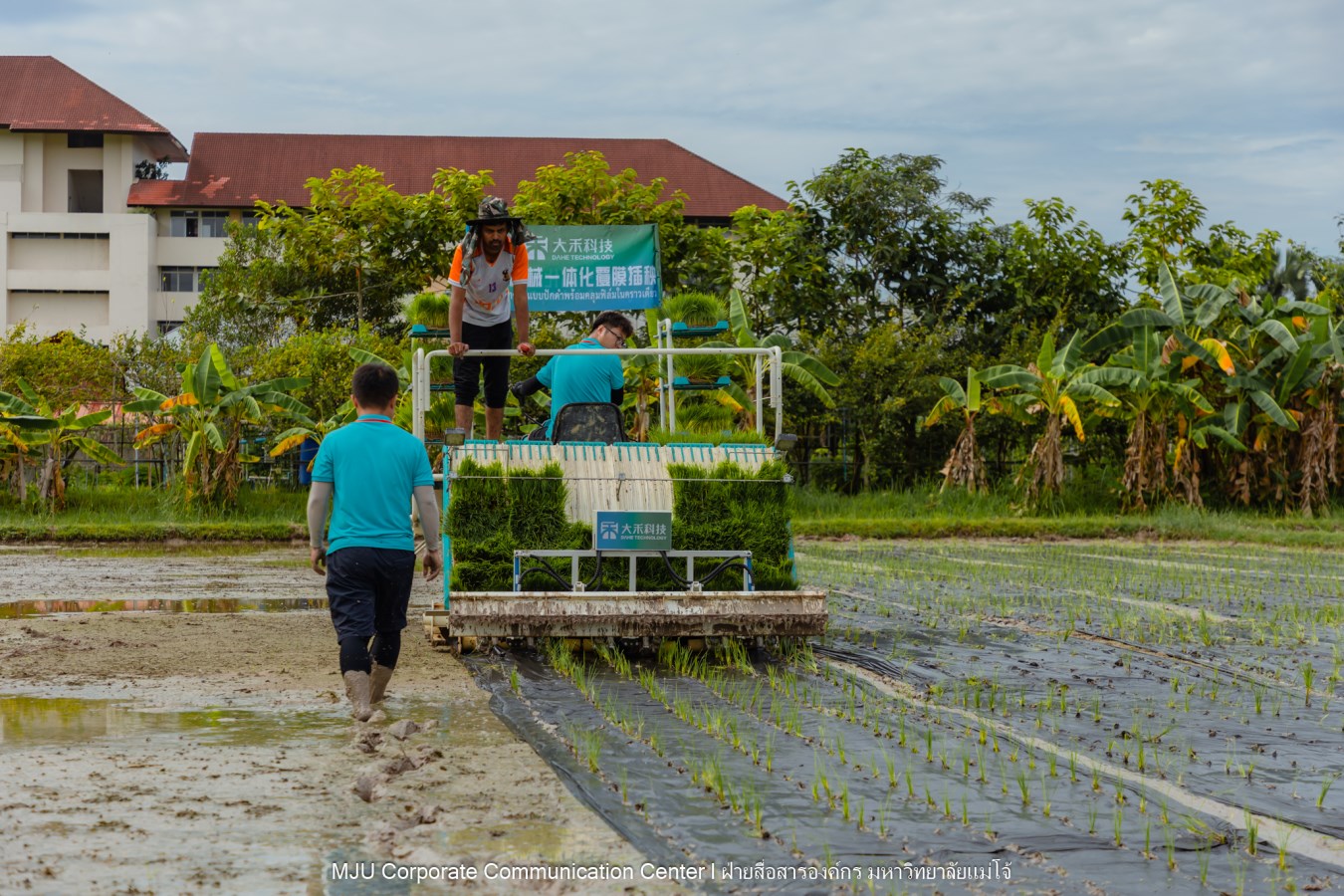 ม.แม่โจ้ ร่วมกับภาคเอกชนจีน  ทดสอบเทคโนโลยีฟิล์มคลุมดินที่ย่อยสลายได้ทางชีวภาพในการปลูกข้าวอินทรีย์