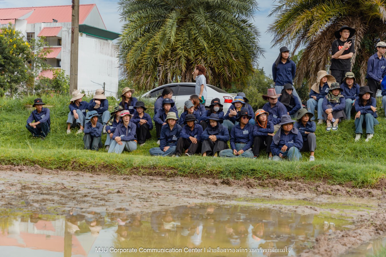 ม.แม่โจ้ ร่วมกับภาคเอกชนจีน  ทดสอบเทคโนโลยีฟิล์มคลุมดินที่ย่อยสลายได้ทางชีวภาพในการปลูกข้าวอินทรีย์