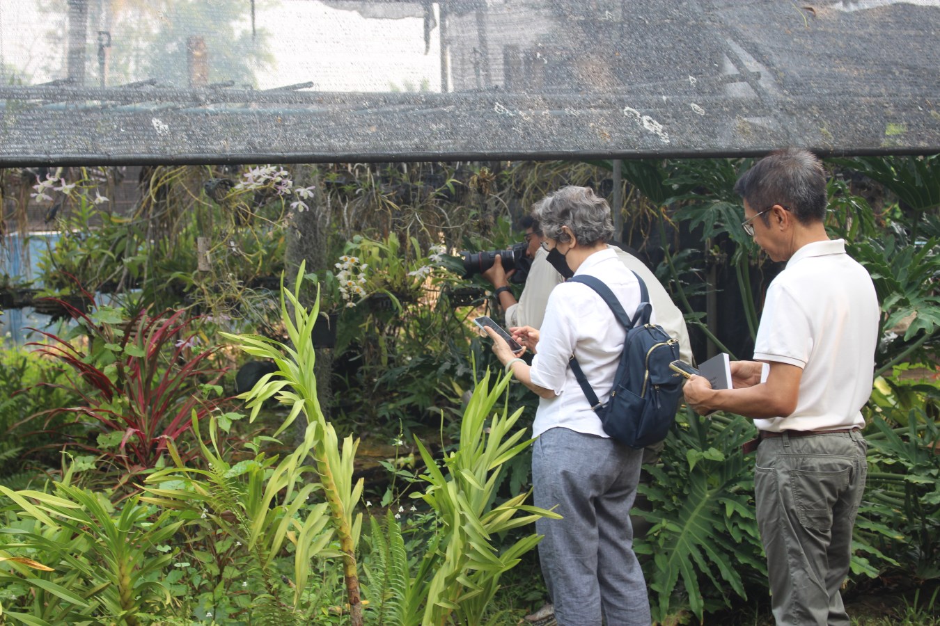 โครงการคืนชีวิตกล้วยไม้ไทยสู่ไพรพฤกษ์ฯ ม.แม่โจ้ ร่วมสนับสนุนโครงการรักษ์ป่าน่านตามพระราชดำริ  เตรียมทำหนังสือเฉลิมพระเกียรติสมเด็จพระนางเจ้าสิริกิติ์ พระบรมราชินีนาถ พระบรมราชชนนีพันปีหลวง