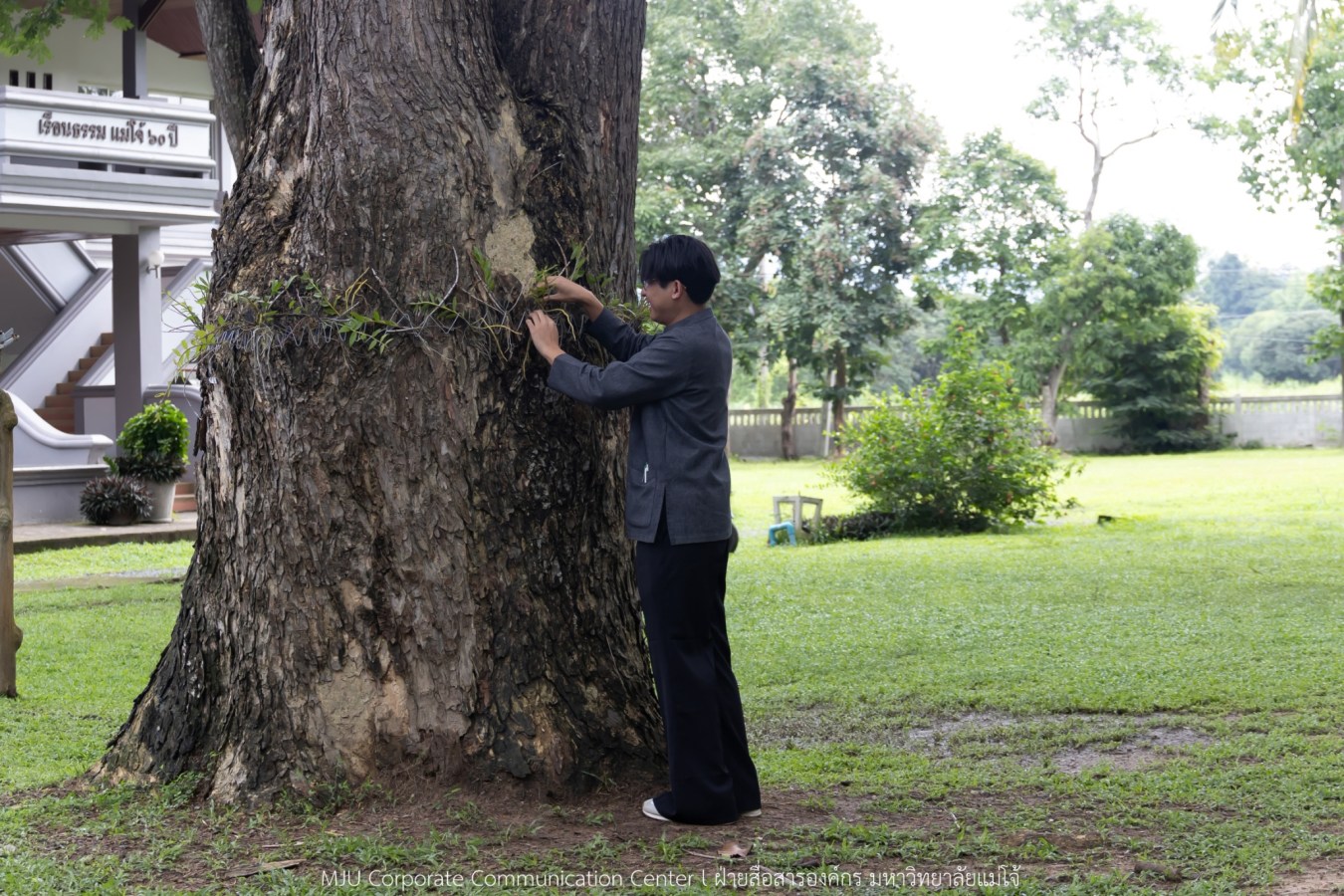 ม.แม่โจ้ ปล่อยกล้วยไม้ถวายพระราชกุศล สมเด็จพระนางเจ้าสิริกิติ์ พระบรมราชินีนาถ พระบรมราชชนนีพันปีหลวง