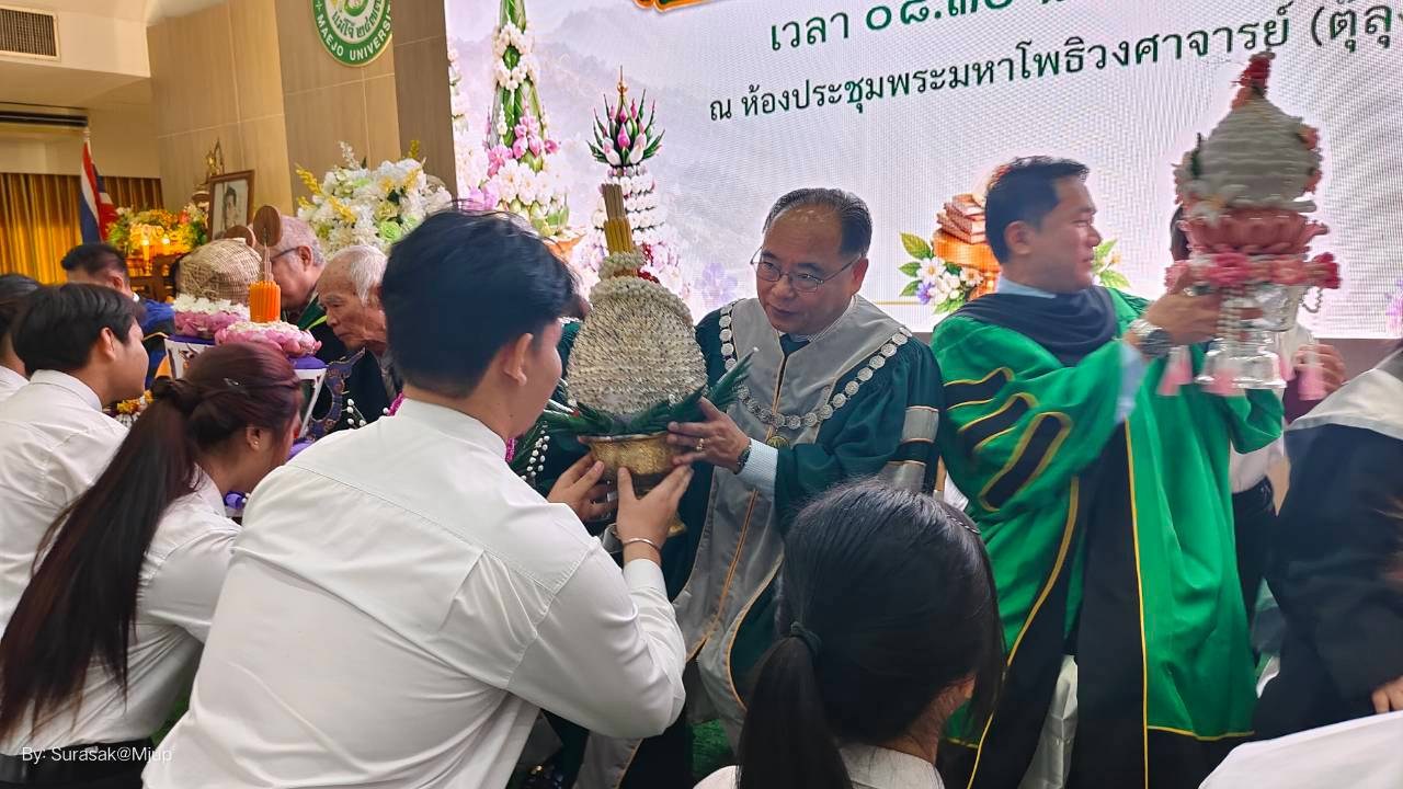 ม.แม่โจ้-แพร่ฯ จัดพิธีไหว้ครูและบายศรีสู่ขวัญ ปี 2569  สืบสานความกตัญญูและประเพณีล้านนา