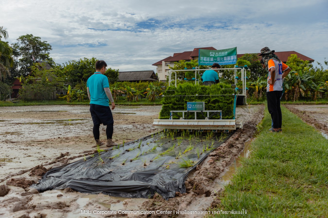 ม.แม่โจ้ ร่วมกับภาคเอกชนจีน  ทดสอบเทคโนโลยีฟิล์มคลุมดินที่ย่อยสลายได้ทางชีวภาพในการปลูกข้าวอินทรีย์