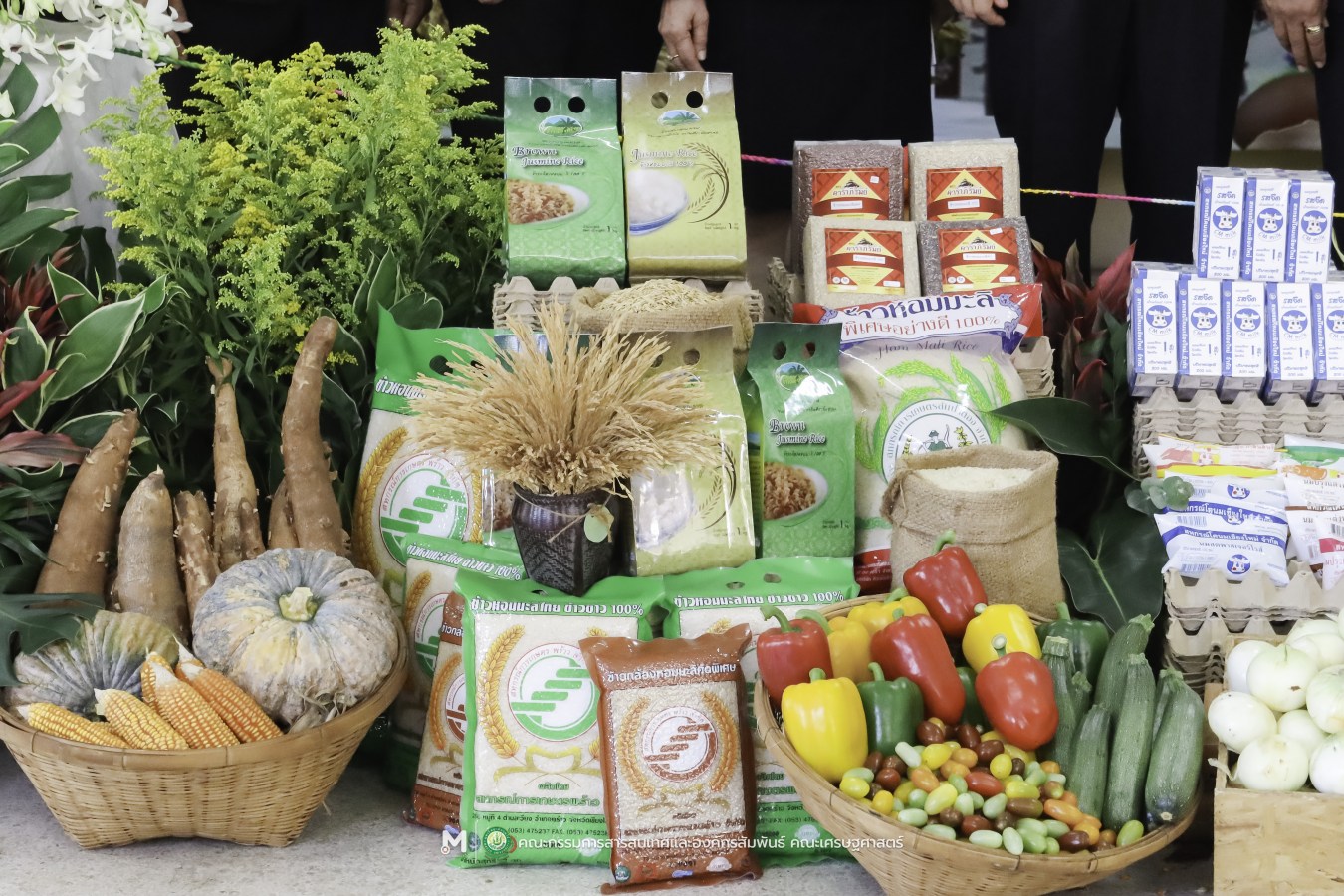 คณะเศรษฐศาสตร์ มหาวิทยาลัยแม่โจ้ ร่วมกับ สันนิบาตสหกรณ์จังหวัดเชียงใหม่ จัดพิธีวางพวงมาลาสักการะ 