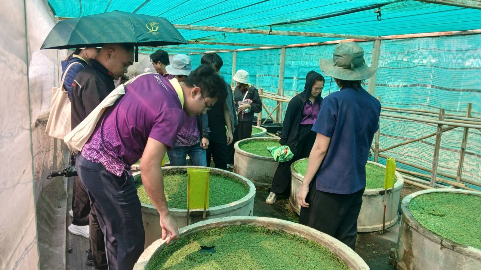 ศูนย์ปรับปรุงพันธุ์และผลิตเมล็ดพันธุ์ผักอินทรีย์ ม.แม่โจ้ ต้อนรับคณะดูงานวิทยาลัยโพธิวิชชาลัย ม.ศรีนครินทรวิโรฒ
