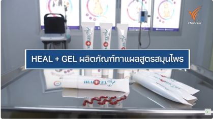 ไทยประดิษฐ์คิดเก่ง ThaiPBS : ม.แม่โจ้ คิด นวัตกรรม HEAL+ GEL ผลิตภัณฑ์ทาแผลสำหรับสัตว์