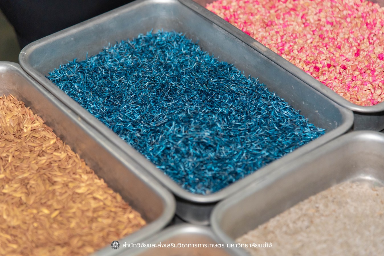 มหาวิทยาลัยแม่โจ้ ต้อนรับคณะผู้บริหารของสำนักงานเลขาธิการวุฒิสภา ในโครงการติดตามผลการนำผลงานวิจัยไปใช้ประโยชน์ในกระบวนการนิติบัญญัติ