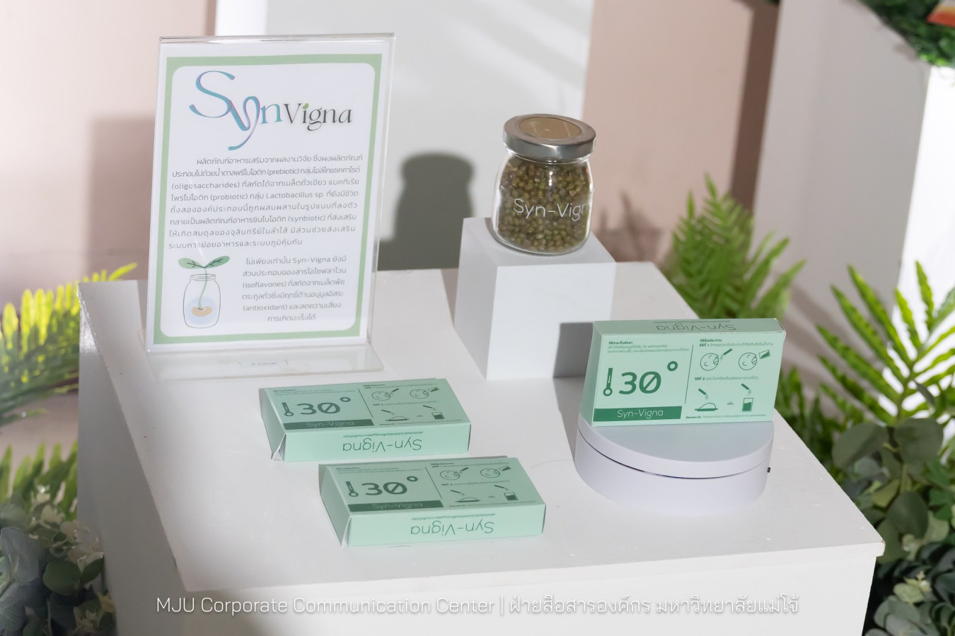 อุทยานวิทยาศาสตร์ฯ ม.แม่โจ้ พลิกโฉมงานวิจัยจาก “หิ้ง