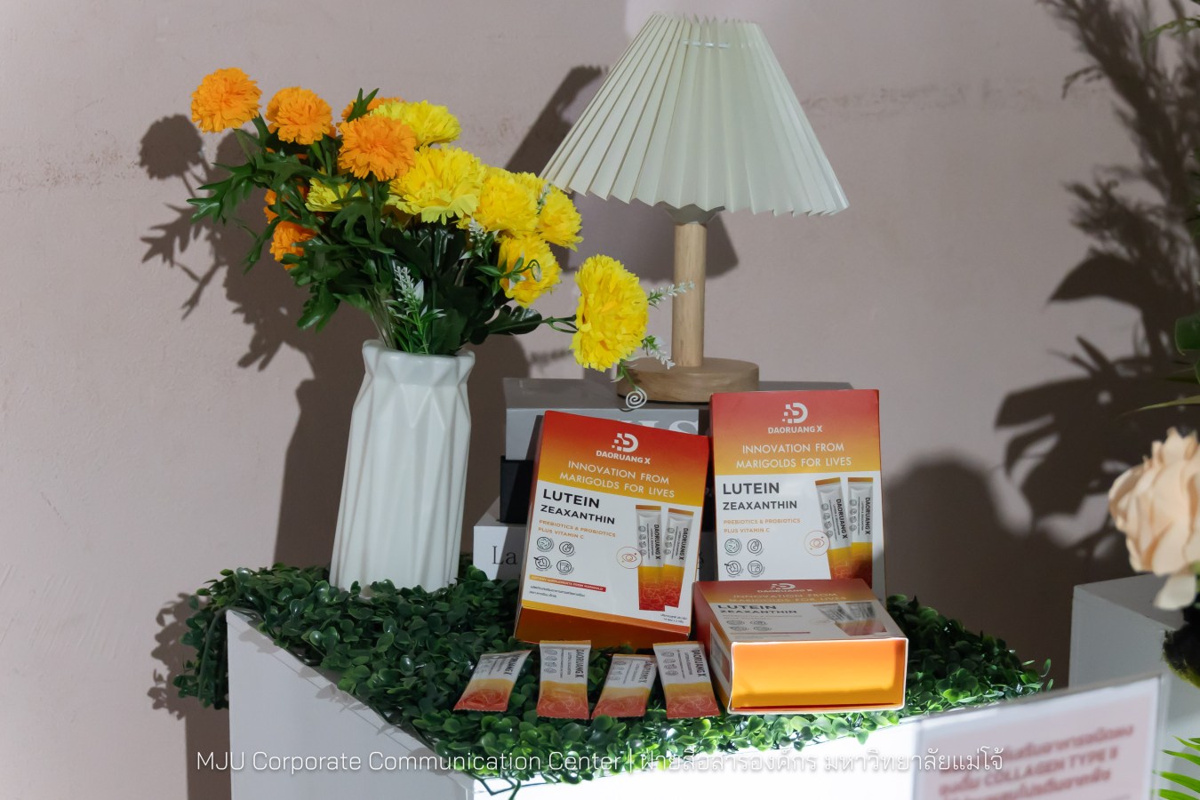 อุทยานวิทยาศาสตร์ฯ ม.แม่โจ้ พลิกโฉมงานวิจัยจาก “หิ้ง