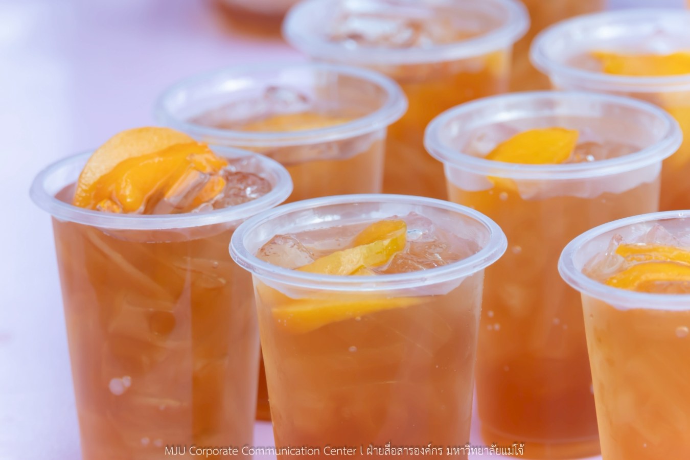 10 กิโลแห่งรอยยิ้ม ประเพณี เดินวิ่ง แม่โจ้ – สันทราย  ชาวสันทราย รุ่นพี่ ศิษย์เก่า  ร่วมต้อนรับอินทนิลช่อที่ 91 กว่า 6,200 คน อย่างอบอุ่น