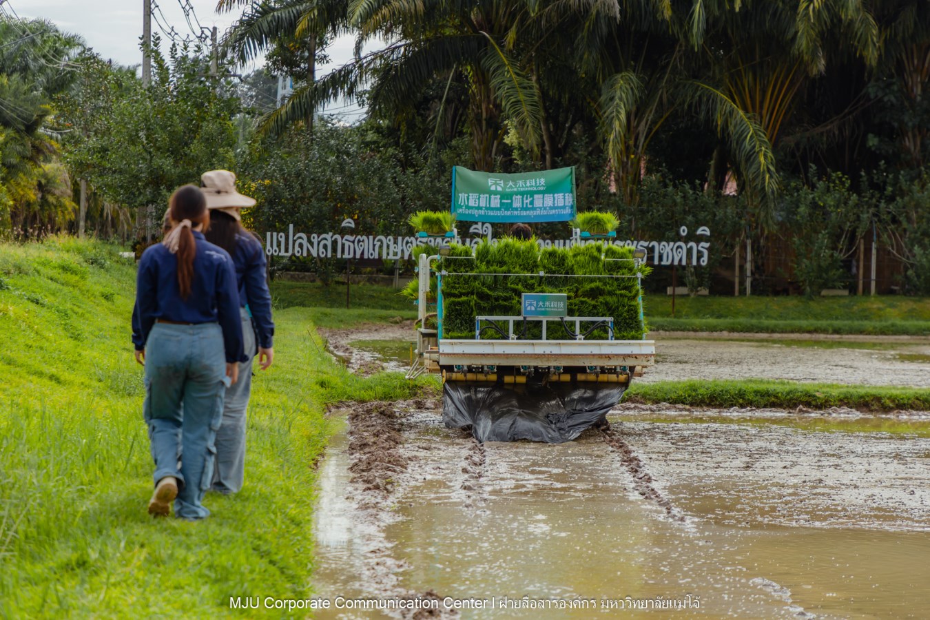 ม.แม่โจ้ ร่วมกับภาคเอกชนจีน  ทดสอบเทคโนโลยีฟิล์มคลุมดินที่ย่อยสลายได้ทางชีวภาพในการปลูกข้าวอินทรีย์