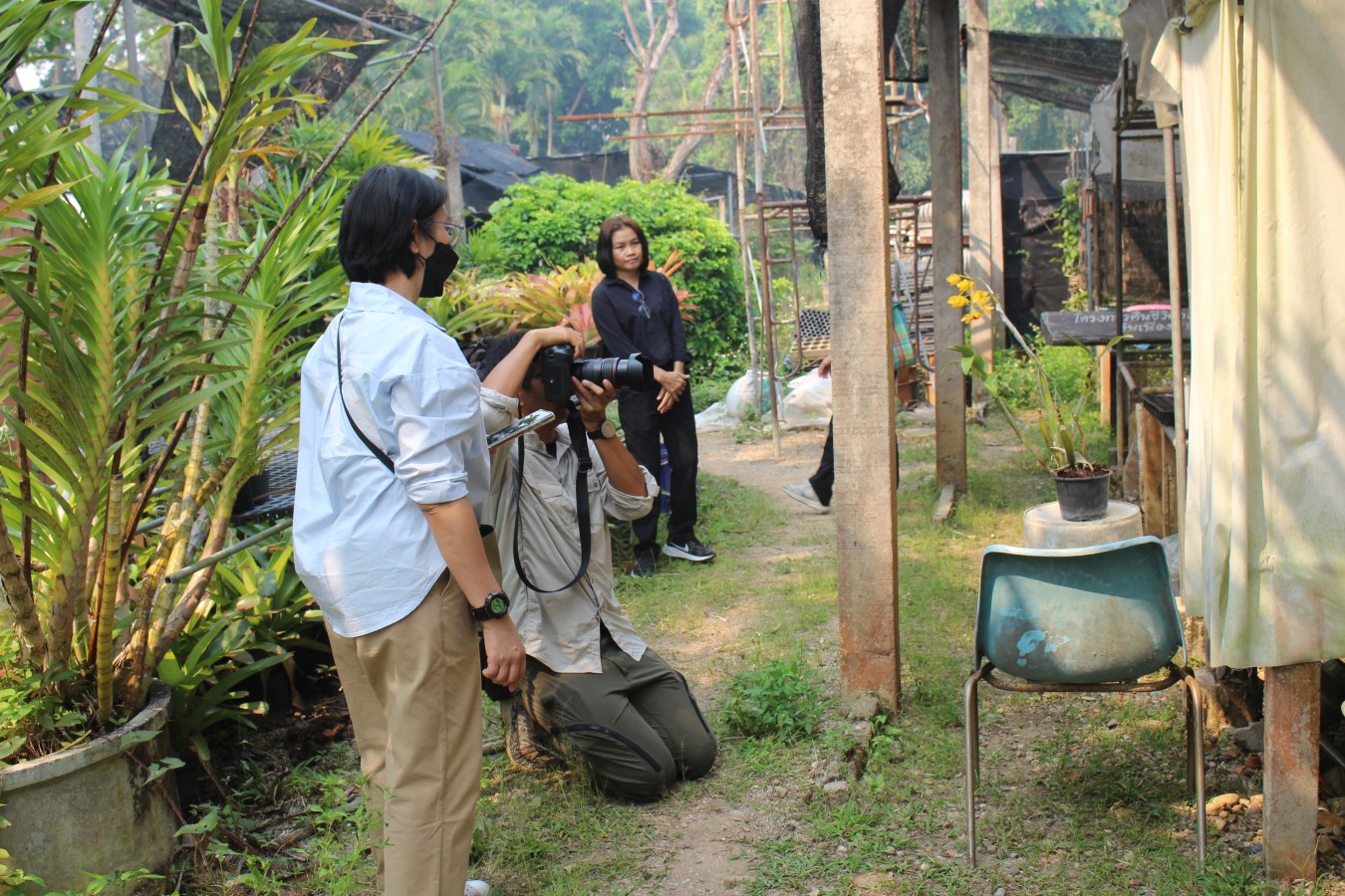 โครงการคืนชีวิตกล้วยไม้ไทยสู่ไพรพฤกษ์ฯ ม.แม่โจ้ ร่วมสนับสนุนโครงการรักษ์ป่าน่านตามพระราชดำริ  เตรียมทำหนังสือเฉลิมพระเกียรติสมเด็จพระนางเจ้าสิริกิติ์ พระบรมราชินีนาถ พระบรมราชชนนีพันปีหลวง